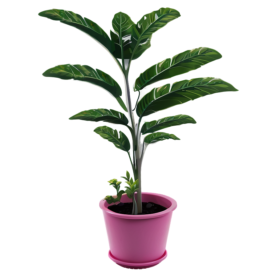 Summer Plant Png Qdo