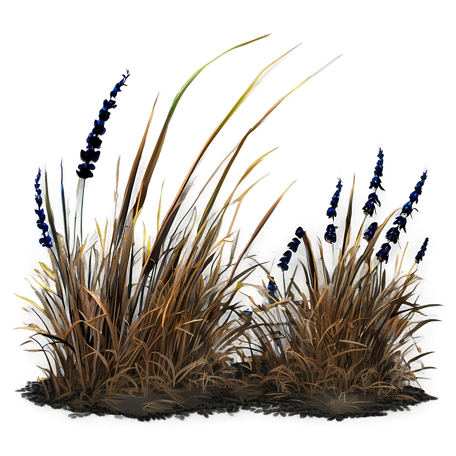 Summer Scorched Grass Png Tul