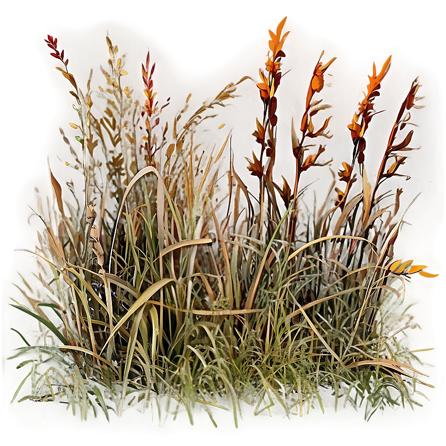 Sun Scorched Grass Png Qwb