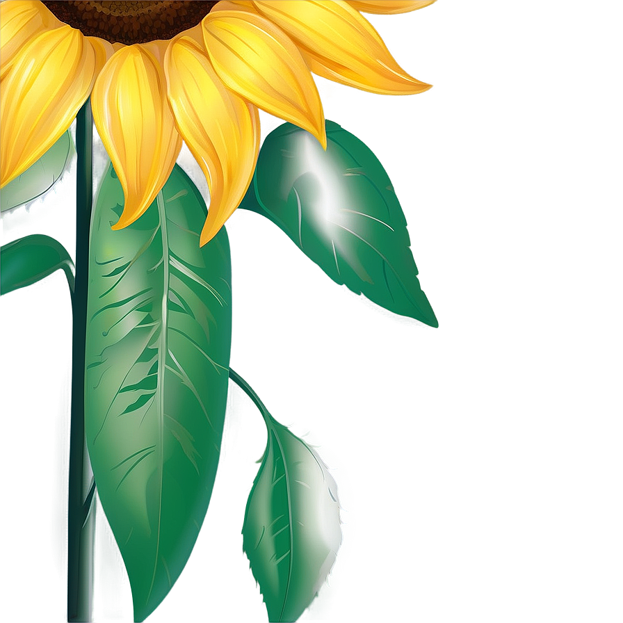 Sunflower Design Transparent Png Pqs