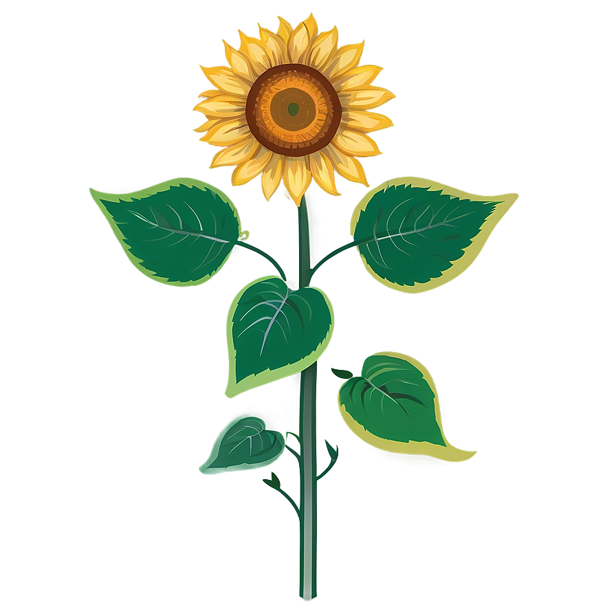 Sunflower Drawing Transparent Png Cxw