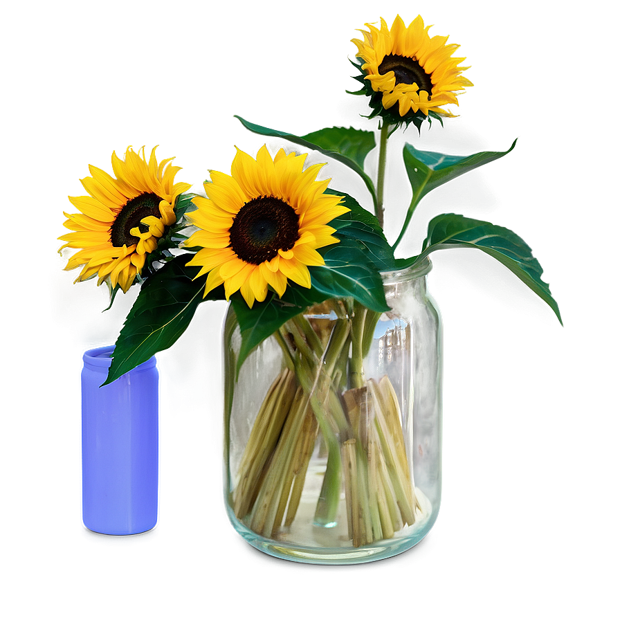 Sunflower In Vase Png Ric