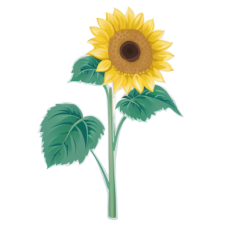 Sunflower Outline Transparent Png 1