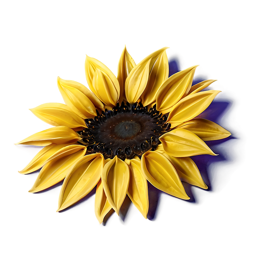 Sunflower Petals Macro Png 05252024