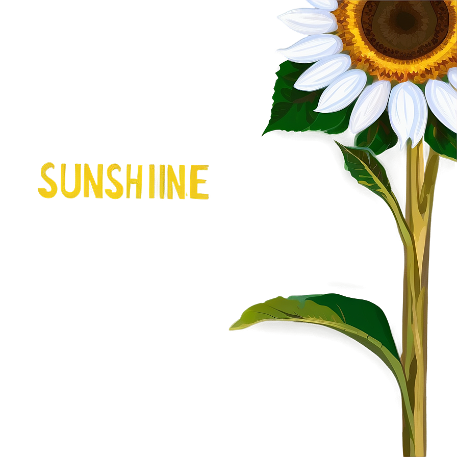 Sunflower Sunshine Png Rmi36