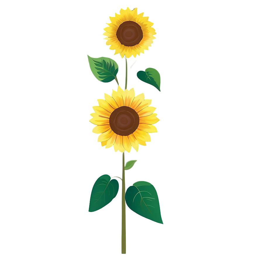 Sunflower Transparent Template Png Pir