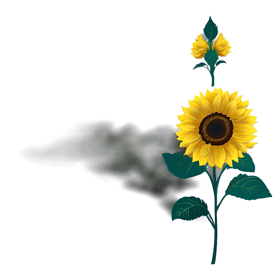 Sunflower Wallpaper Png 05032024