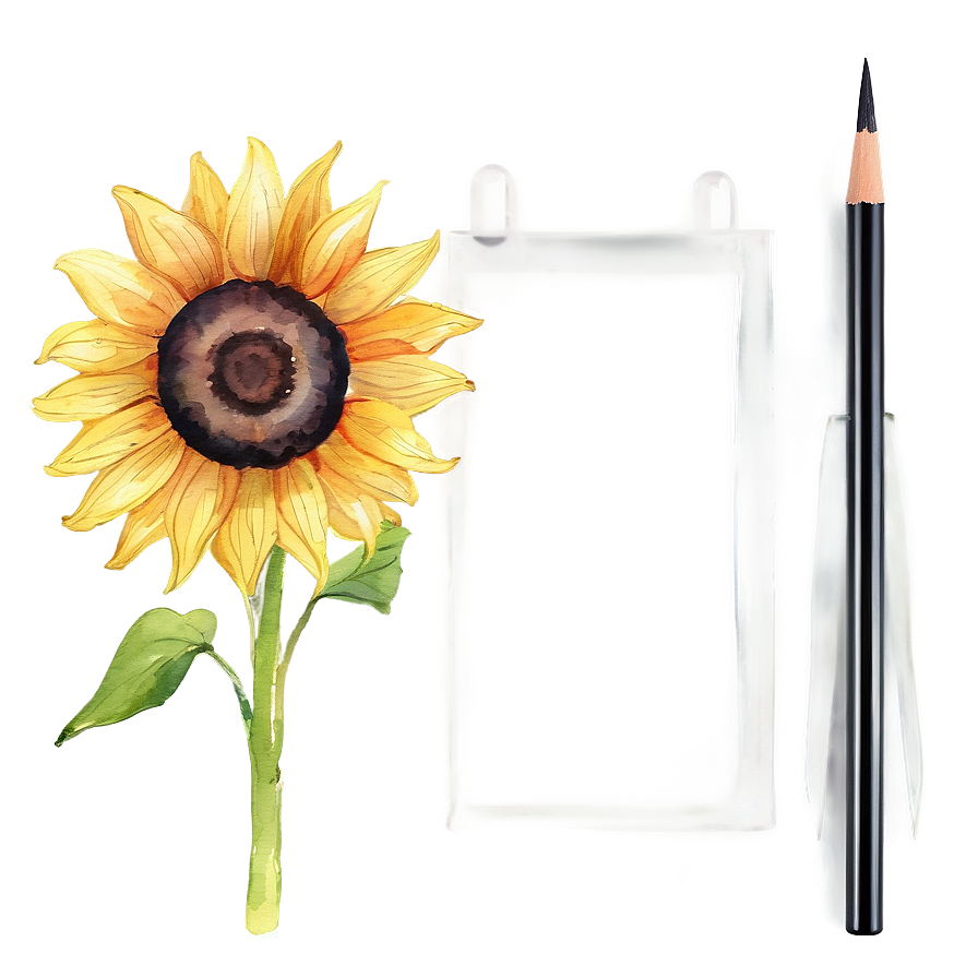 Sunflower Watercolor Presentation Slide Png Vnv