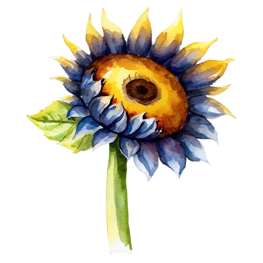 Sunflower Watercolor Profile Picture Png Lta