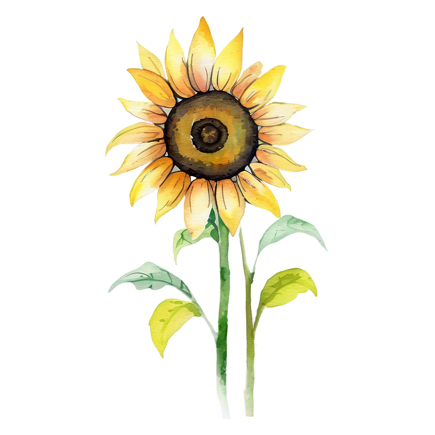 Sunflower Watercolor Tattoo Design Png Wiy