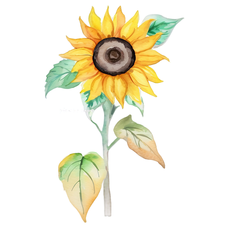 Sunflower Watercolor With Quotes Png Ksf