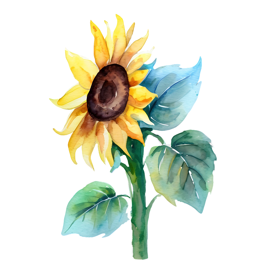 Sunflower Watercolor Youtube Thumbnail Png 06272024