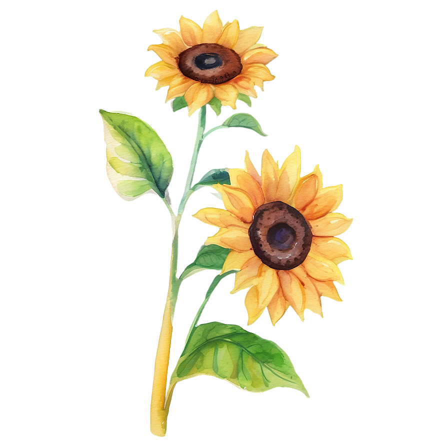 Sunflower Watercolor Youtube Thumbnail Png 6