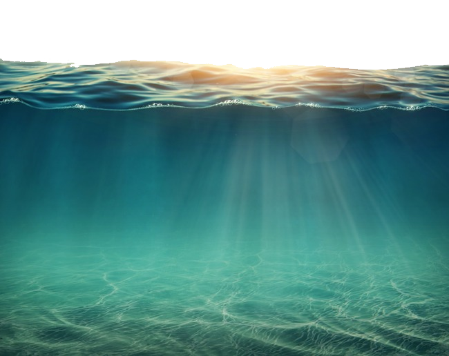 Sunlight Underwater Scene