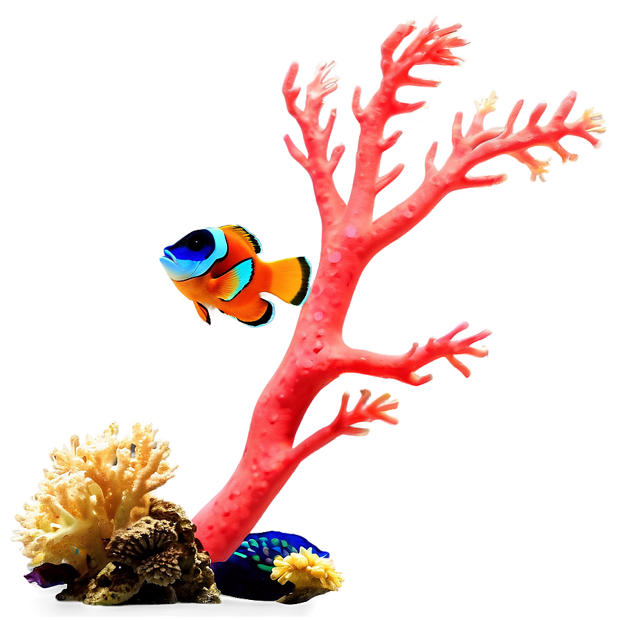 Sunlit Coral Reef Png Ovf92