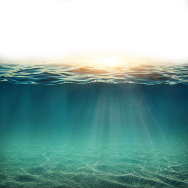 Sunlit Underwater Scene