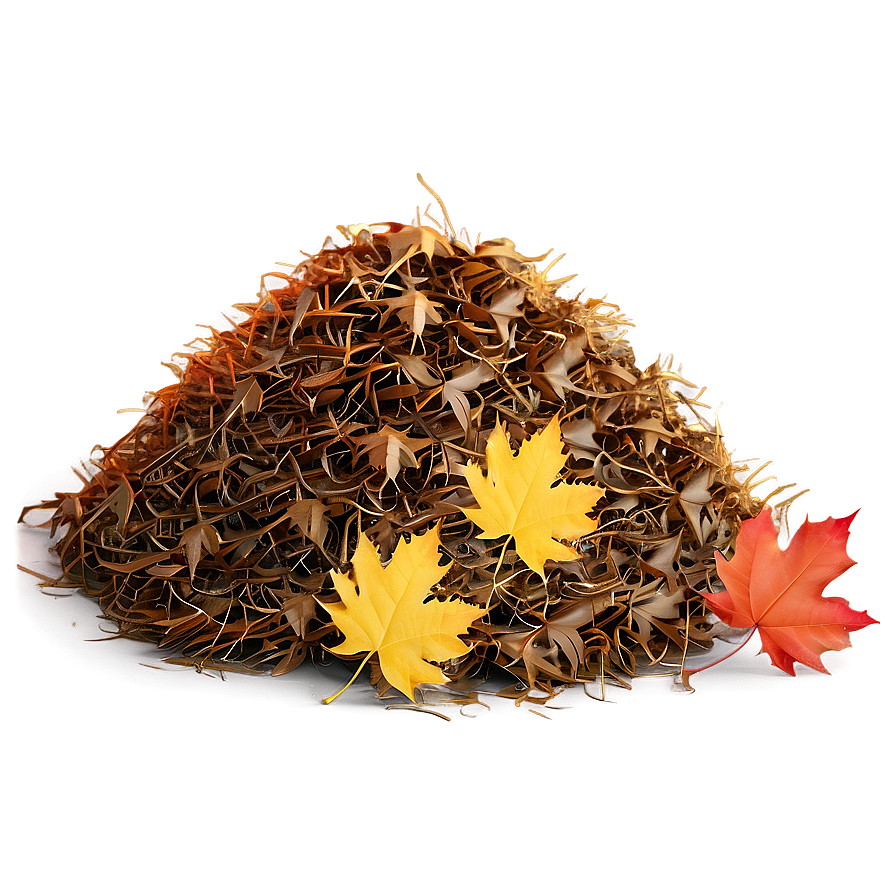 Sunny Day Leaf Pile Png 06202024