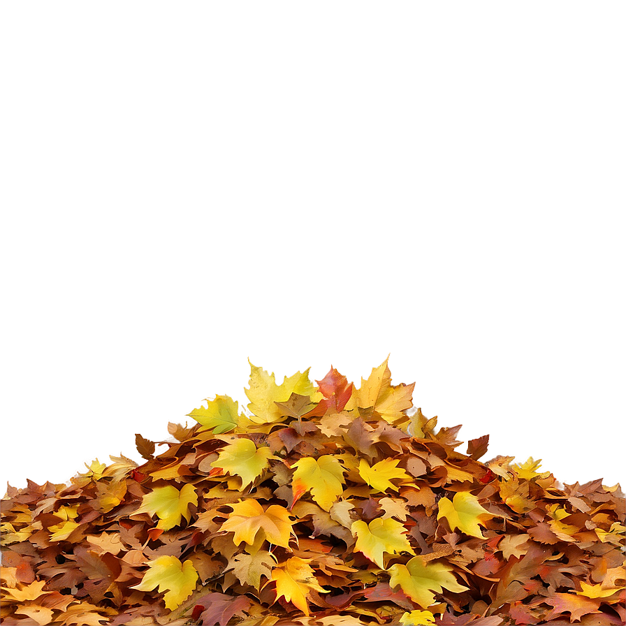 Sunny Day Leaf Pile Png 06202024