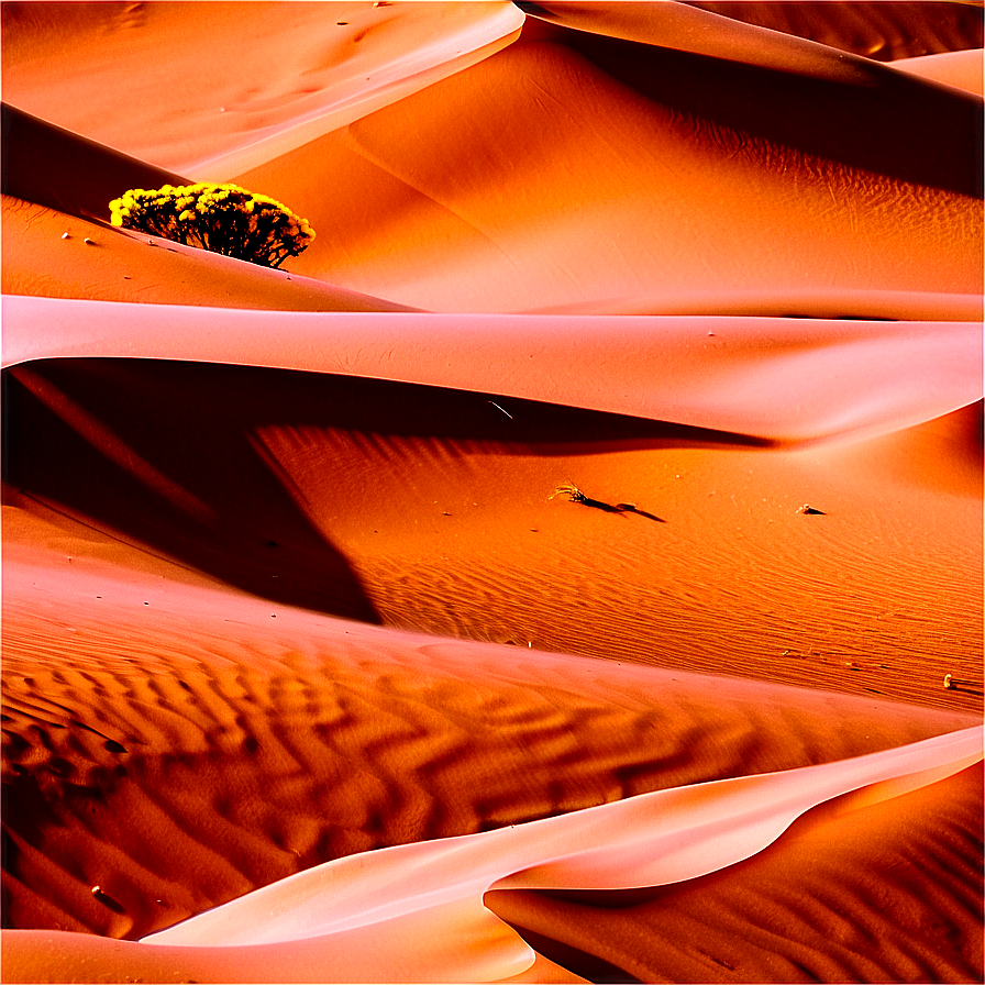 Sunny Desert Dunes Png 30