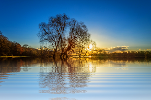 Sunset Reflections Lake Tree