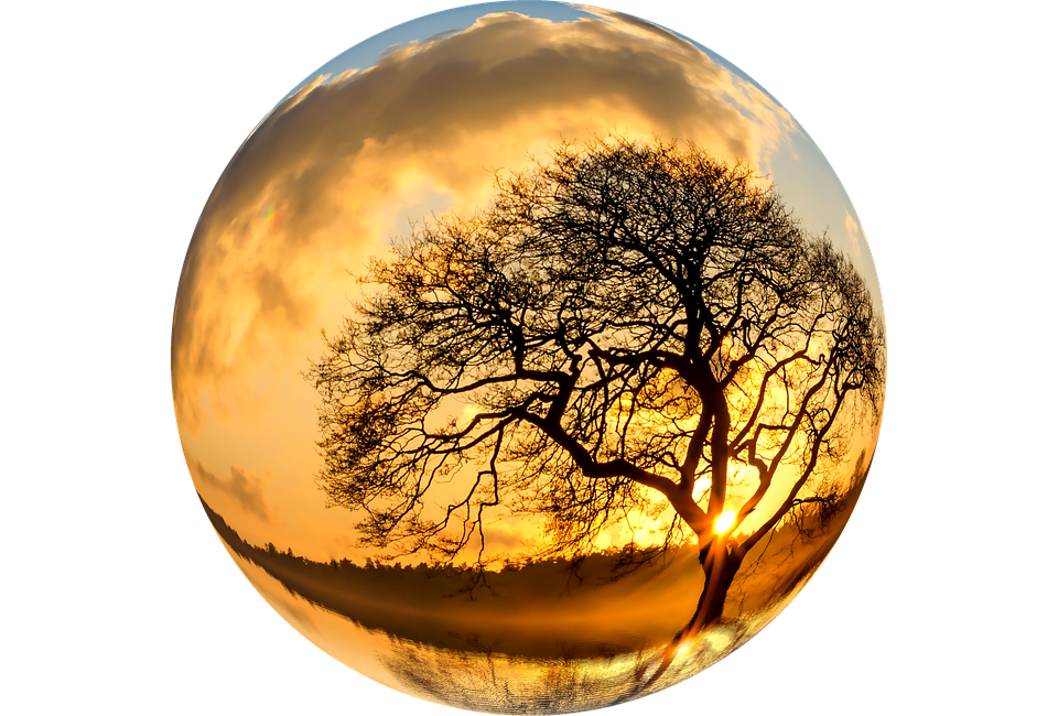 Sunset Silhouette Tree Sphere