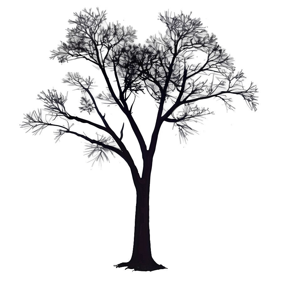 Sunset Tree Silhouette Png Doj