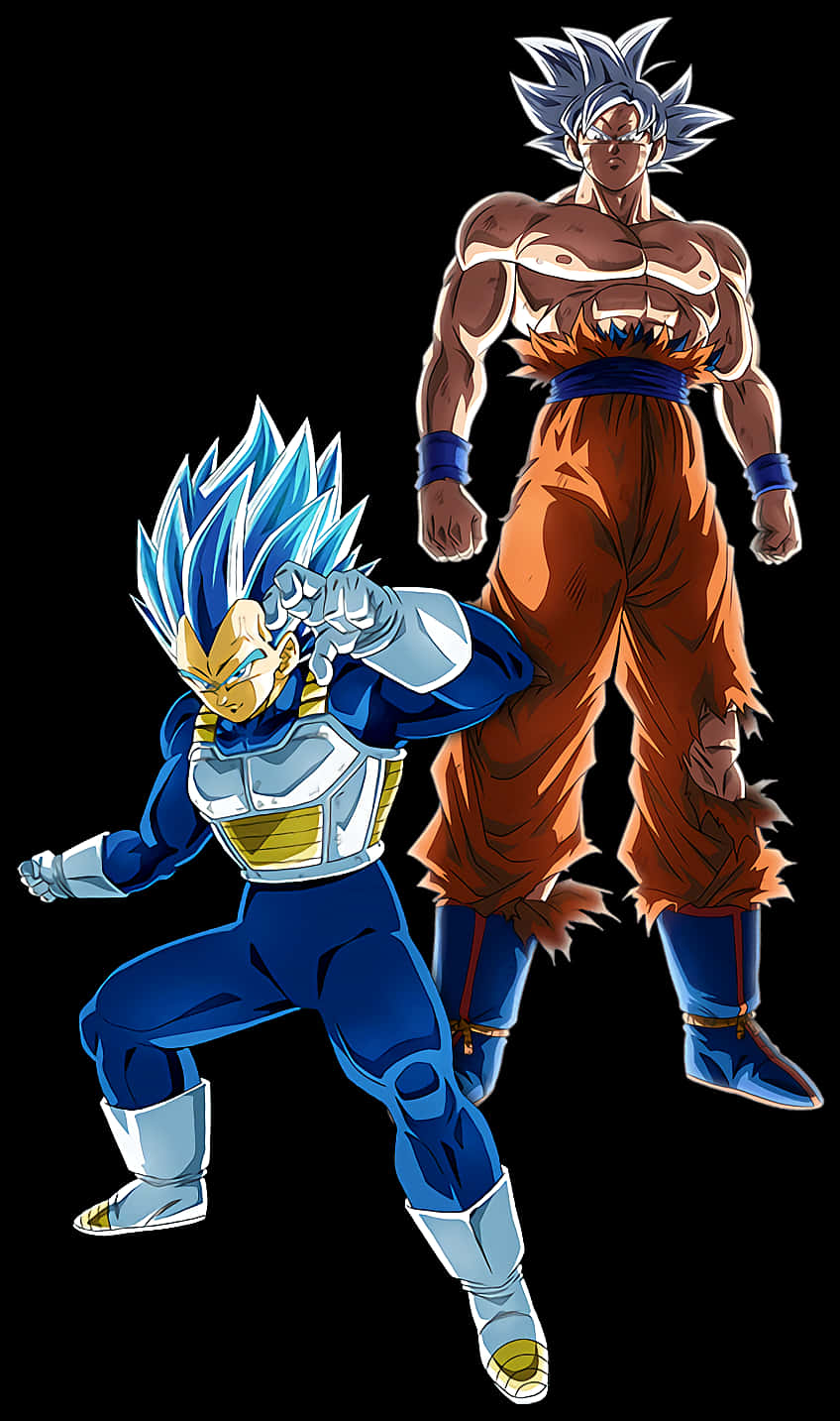 Super Saiyan Blue Vegetaand Ultra Instinct Goku