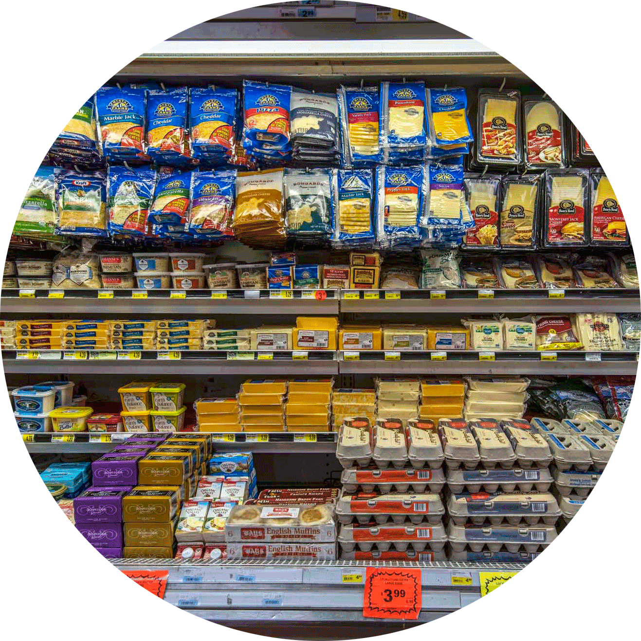 Supermarket Cheeseand Dairy Products Aisle