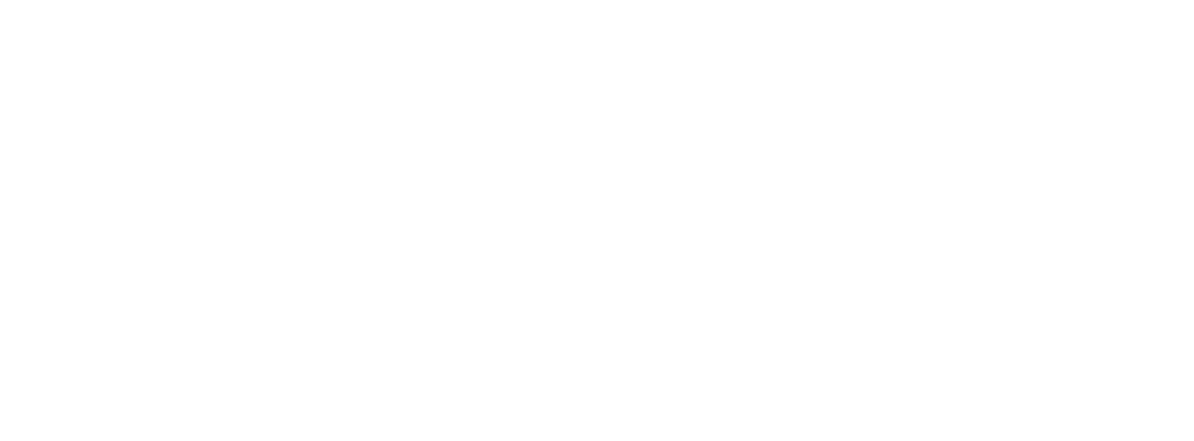 Surfrider Foundation Logo Hilo