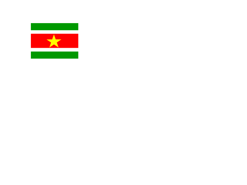 Suriname National Flag