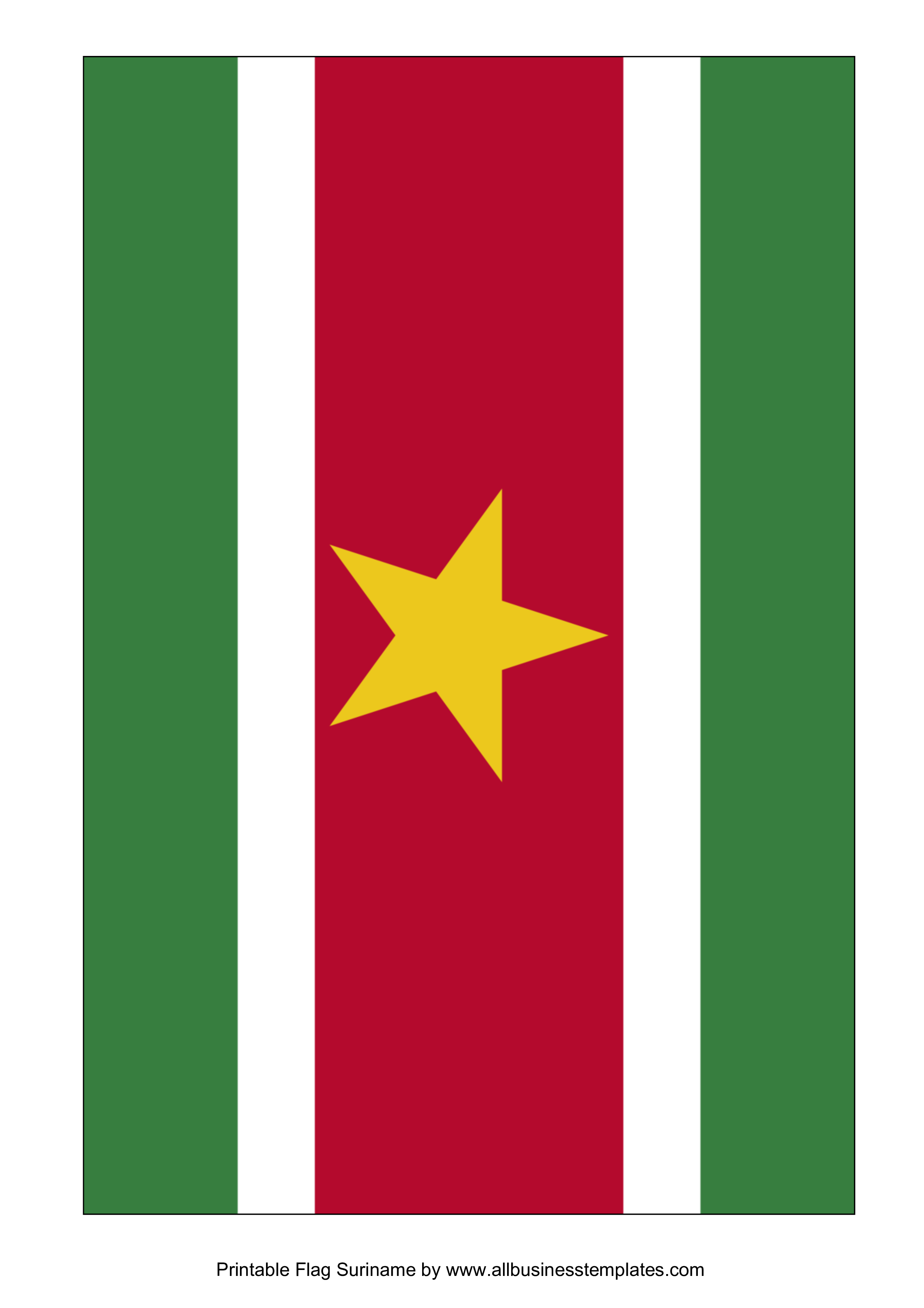 Suriname National Flag