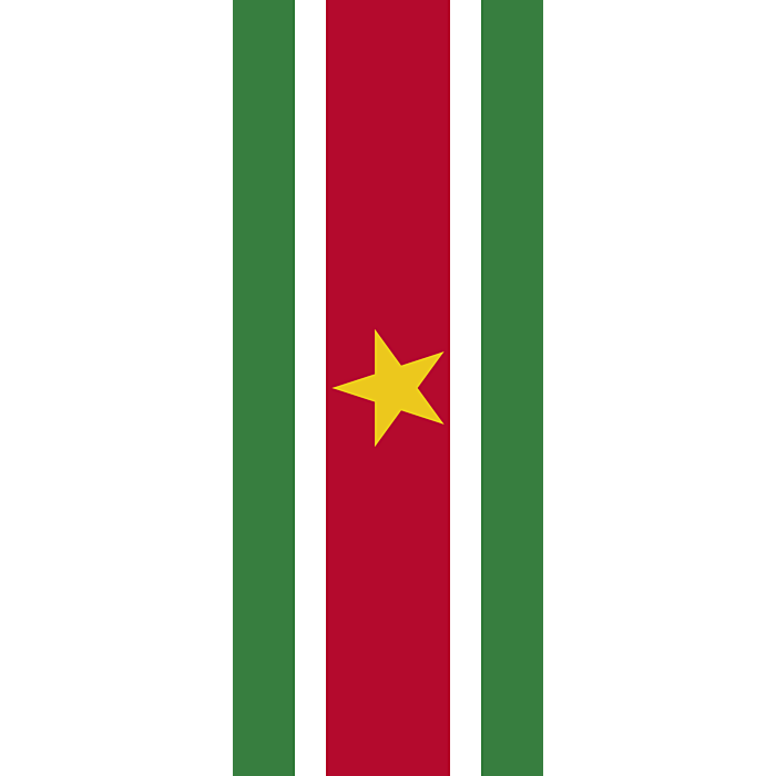 Suriname National Flag