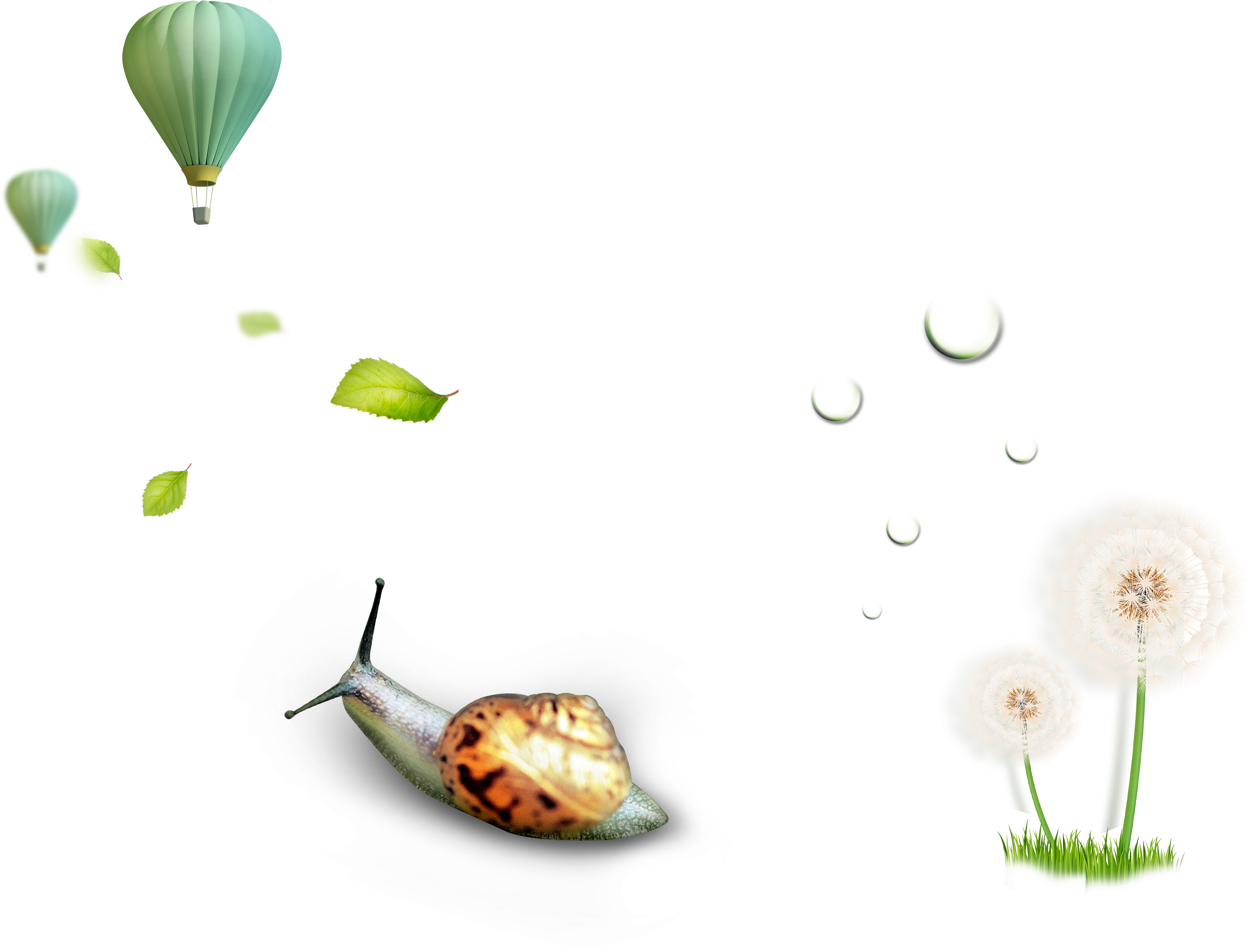 Surreal Nature Balloon Snail Dandelion