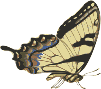 Swallowtail Butterfly Illustration