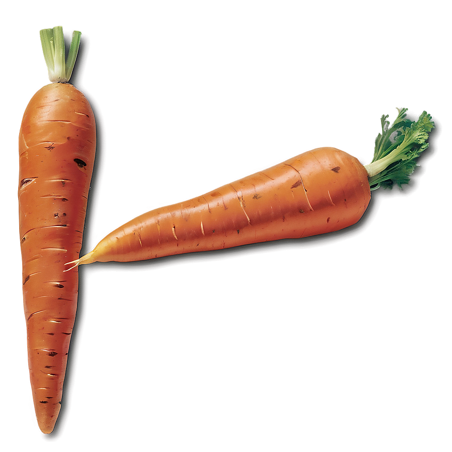 Sweet Carrot Png Xem93