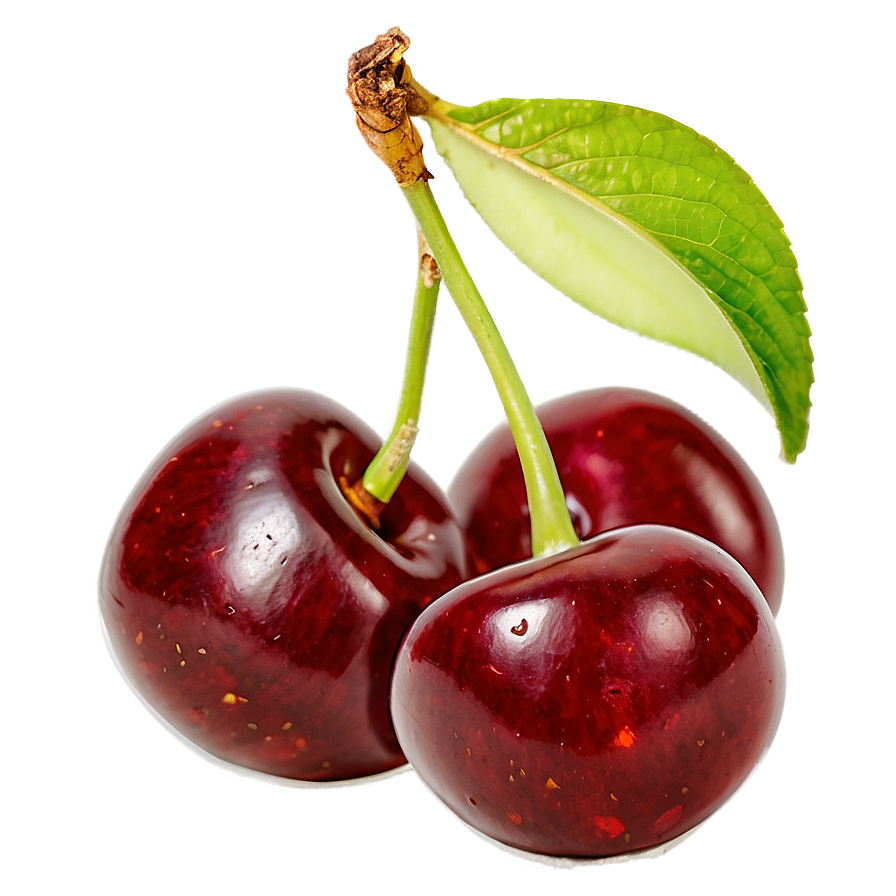 Sweet Cherry Png Vua