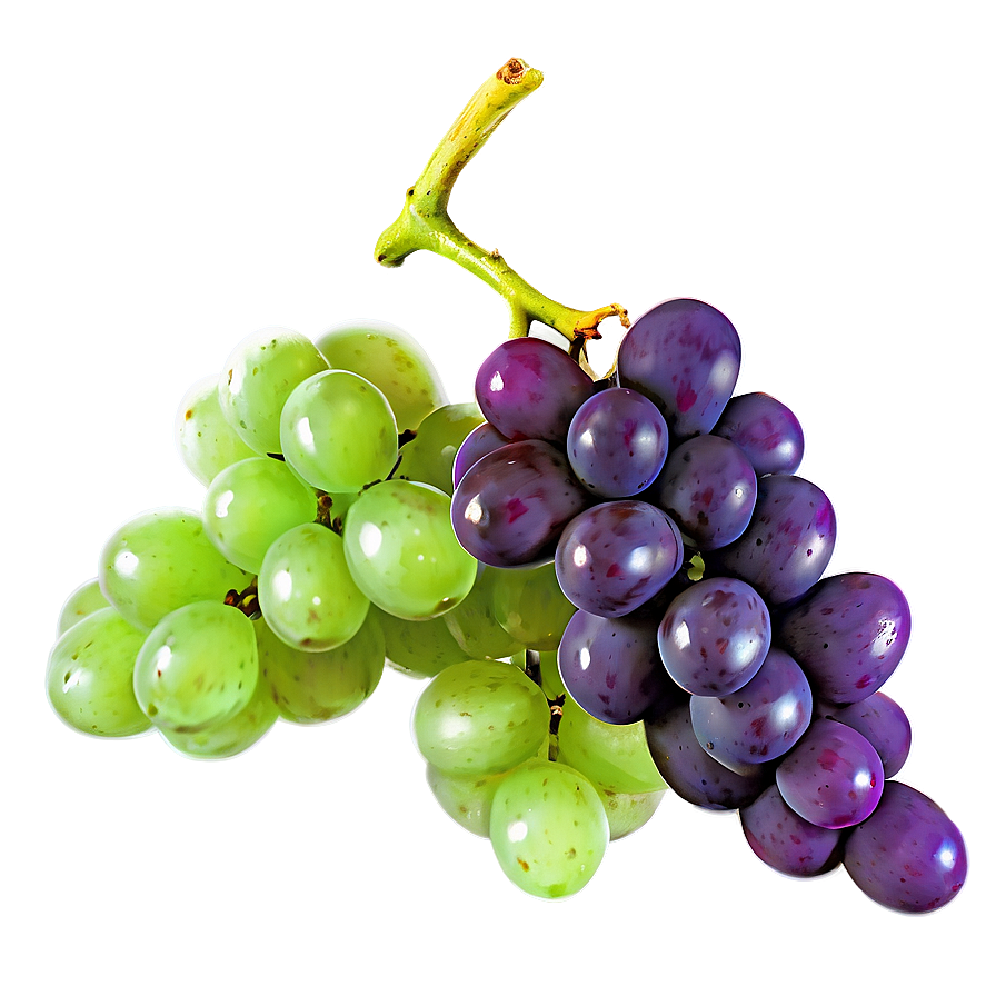 Sweet Grapes Png 53