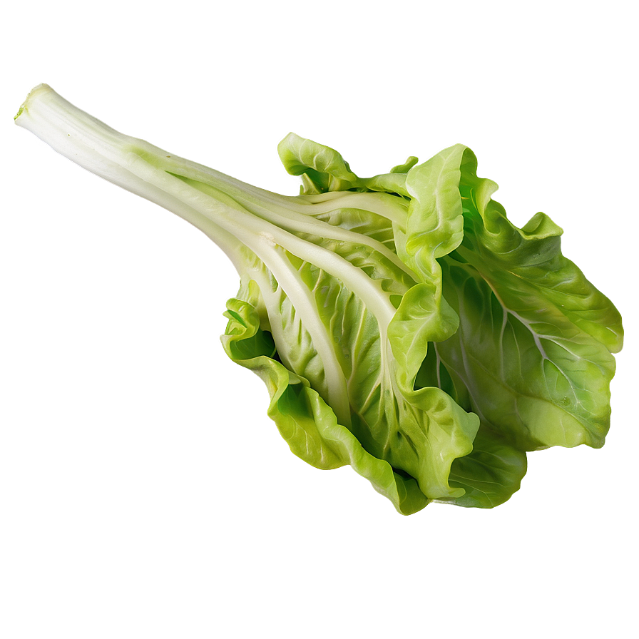 Sweet Lettuce Png Ltw