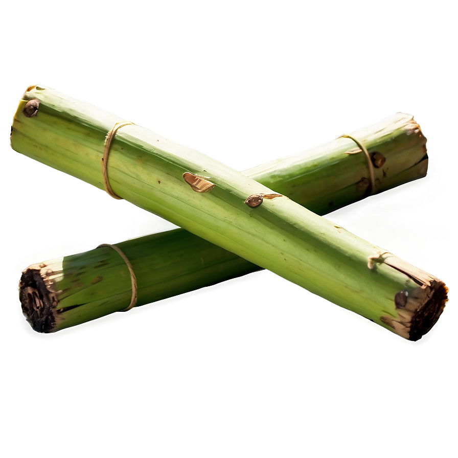 Sweet Sugarcane Stick Png 06262024