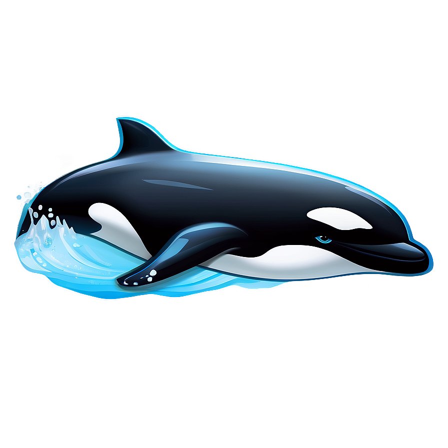 Swimming Orca Whale Graphic Png 06292024