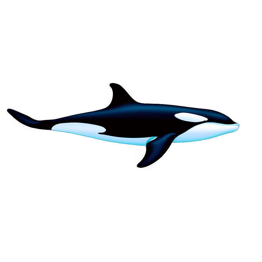 Swimming Orca Whale Graphic Png Vml