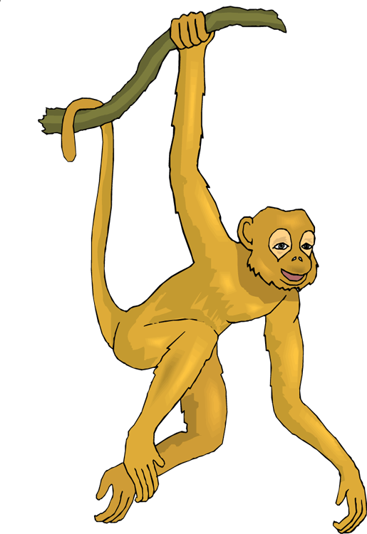 Swinging Monkey Cartoon