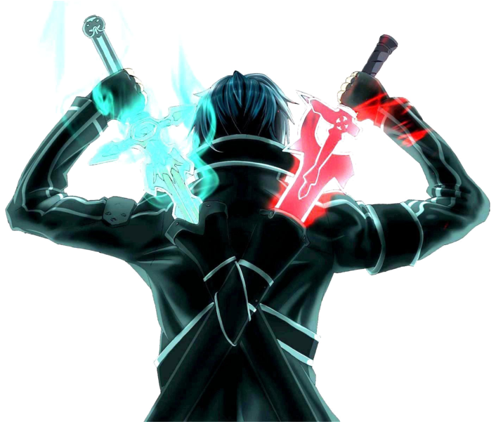 Sword Art Online Dual Wielding Silhouette