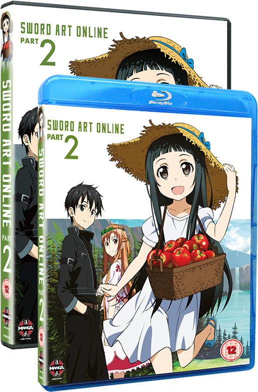 Sword Art Online Part2 Bluray Cover