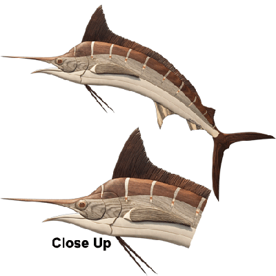 Swordfish Illustration