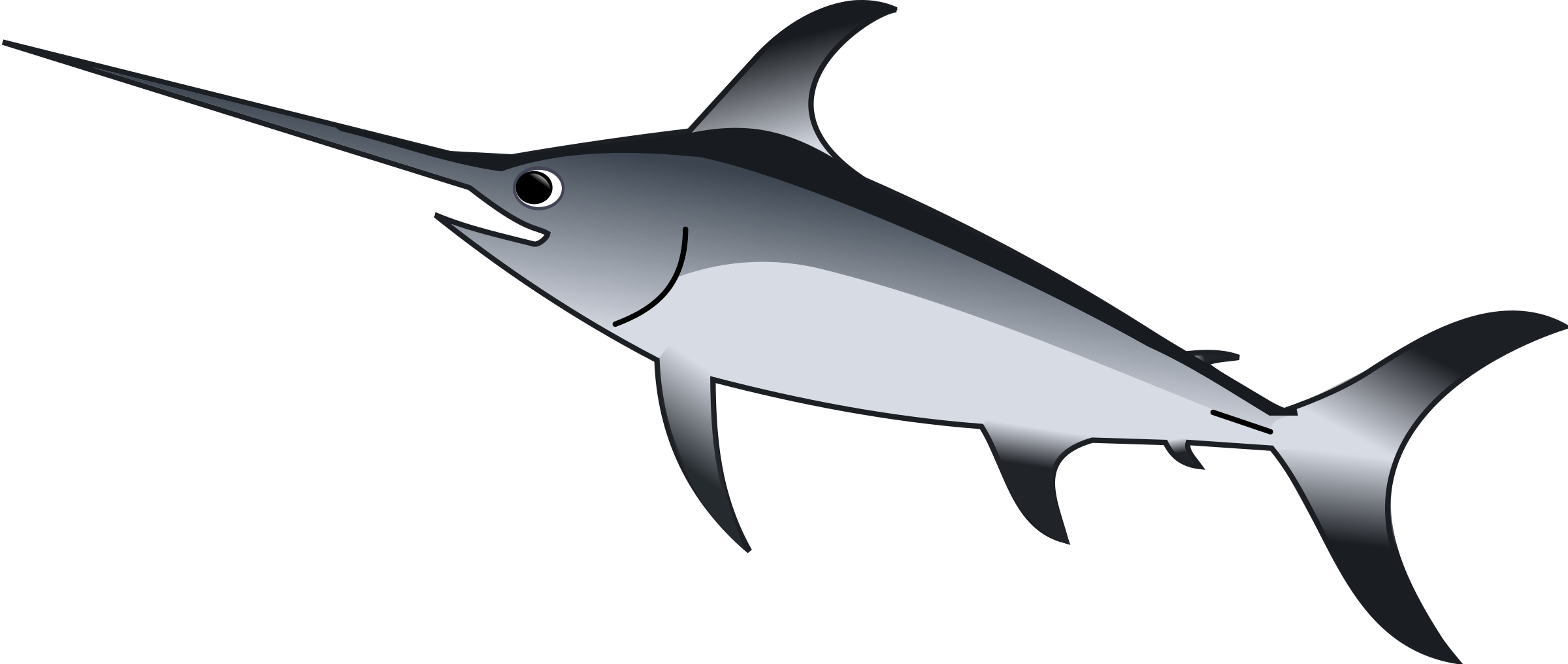 Swordfish Vector Illustration