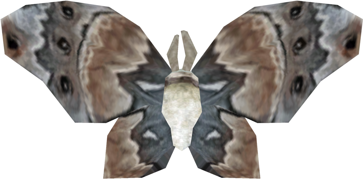 Symmetrical Moth Wings Pattern