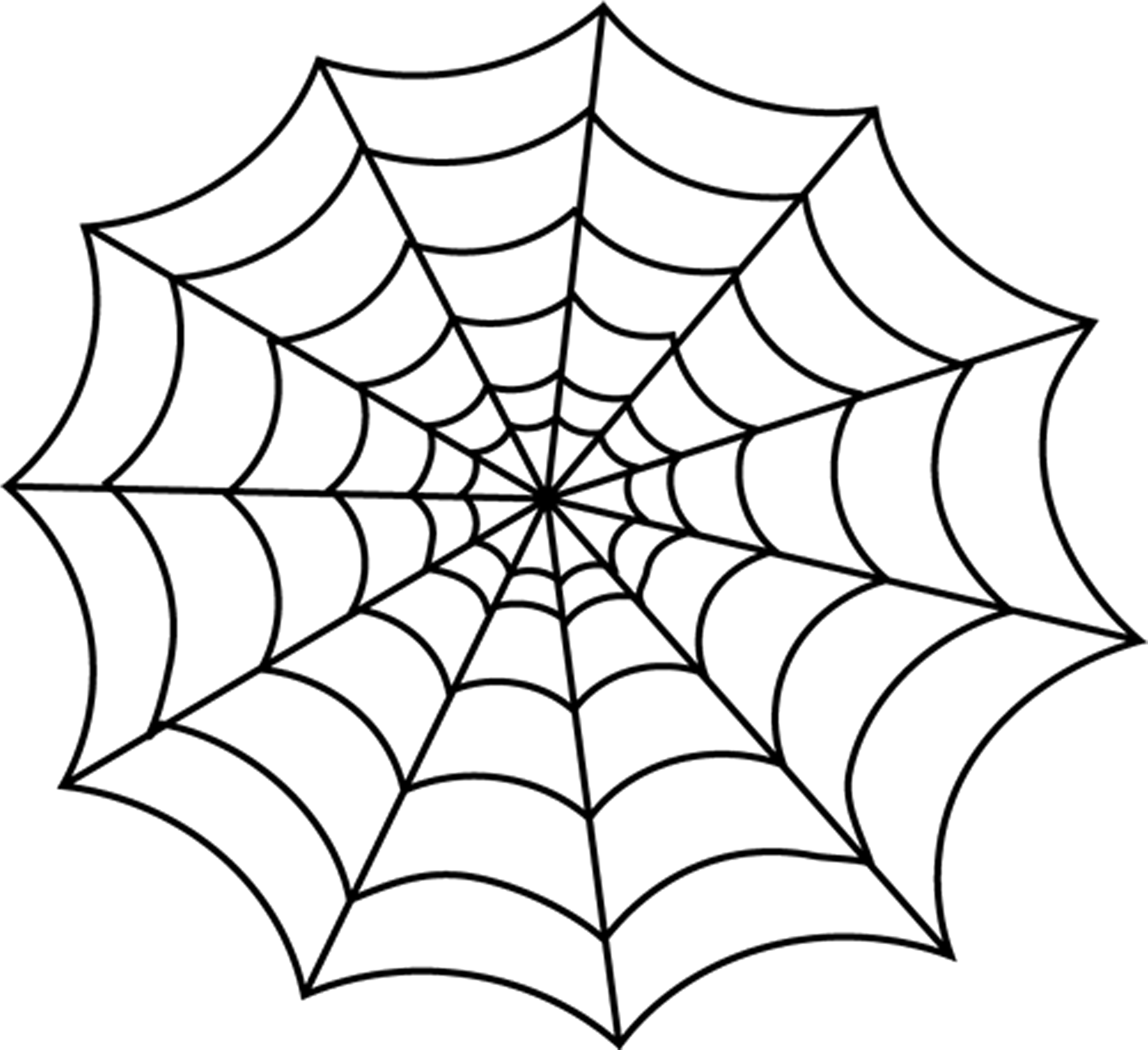 Symmetrical Spider Web Drawing