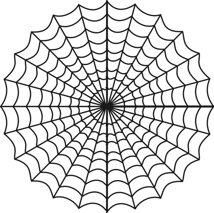 Symmetrical Spider Web Illustration