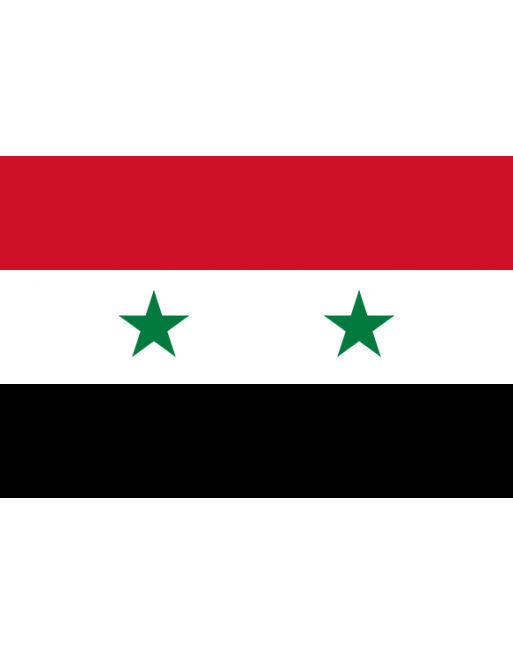 Syrian National Flag